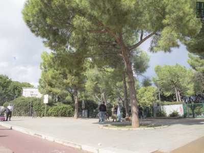 Entriamo dall�ingresso principale che si affaccia su viale Einaudi (gli altri sono in via della Resistenza e in via della Costituente)